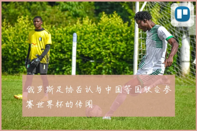俄罗斯足协否认与中国等国联合参赛世界杯的传闻