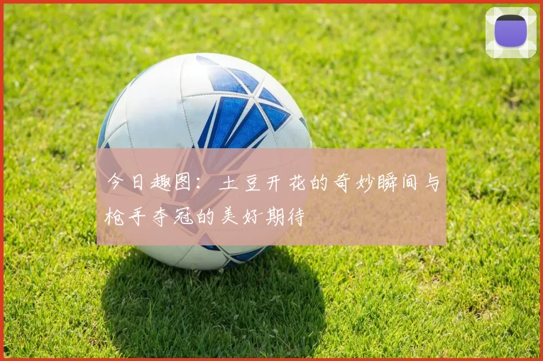 今日趣图：土豆开花的奇妙瞬间与枪手夺冠的美好期待