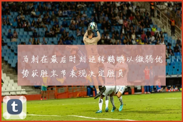 马刺在最后时刻逆转鹈鹕以微弱优势获胜末节表现决定胜负