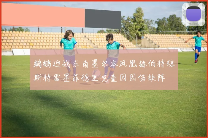 鹈鹕迎战东南墨尔本凤凰赫伯特琼斯特雷墨菲德里克奎因因伤缺阵