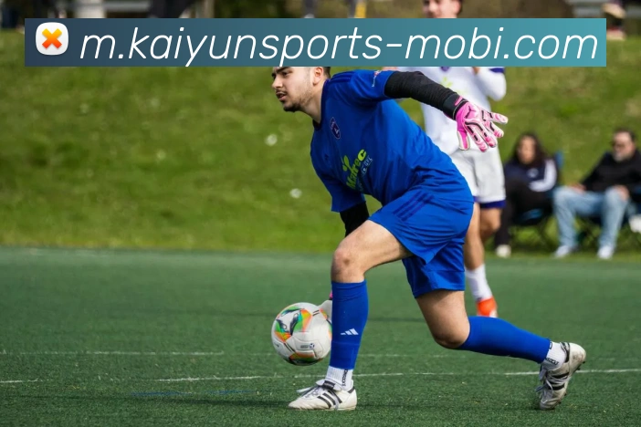 开云体育APP 封面图